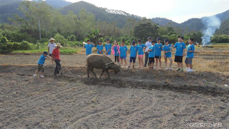 QQ图片20170825165029
