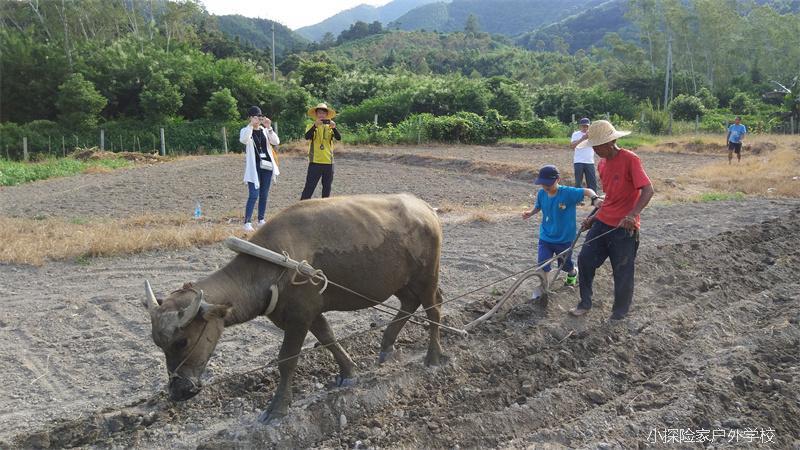 QQ图片20170825165047