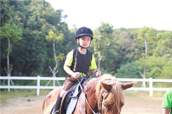 20180801163935_IMG_5905