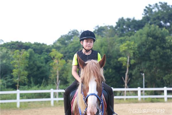 20180801174048_IMG_6106