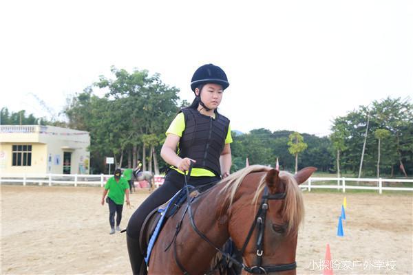 20180801175238_IMG_6157