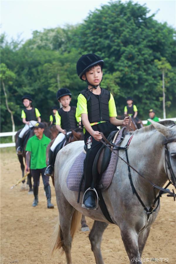 20180801183243_IMG_6287