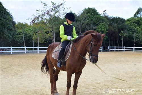 mmexport1579151655306