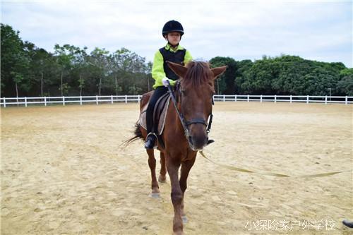 mmexport1579151679196