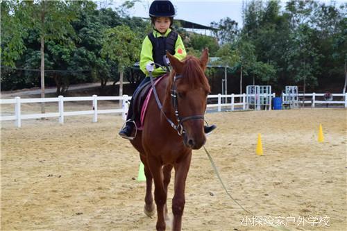 mmexport1579151671195