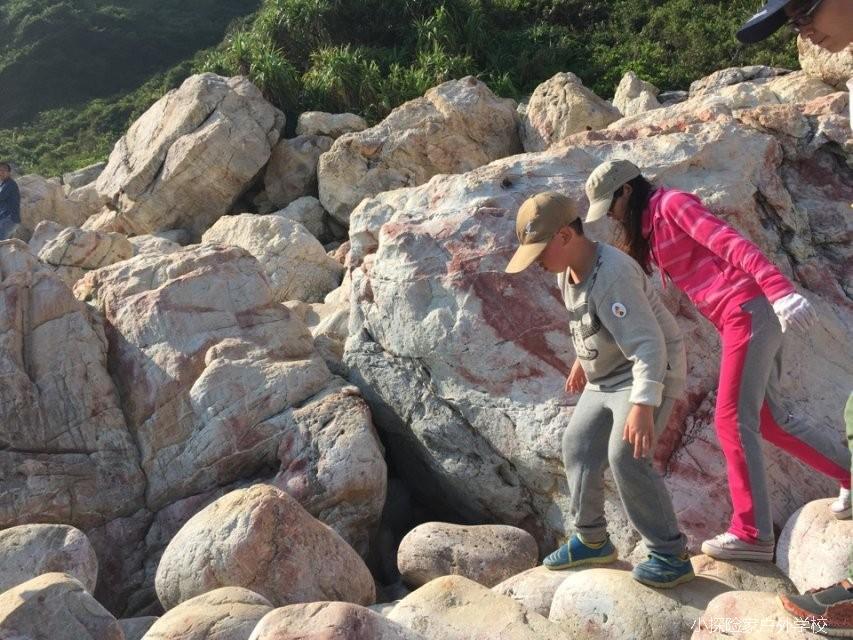 QQ图片20141126115401