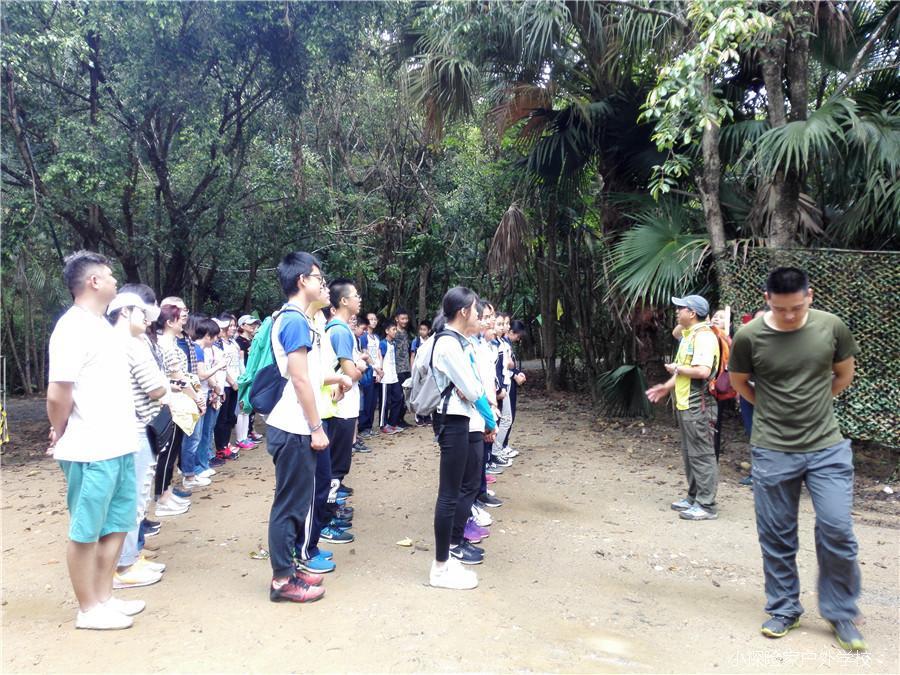 mmexport1495279307180