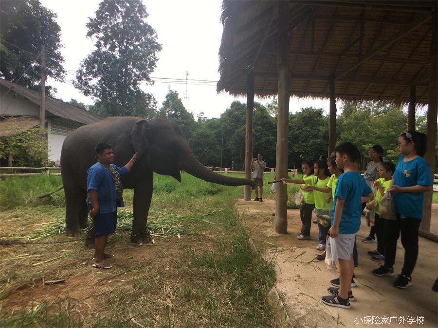 QQ图片20170825170321