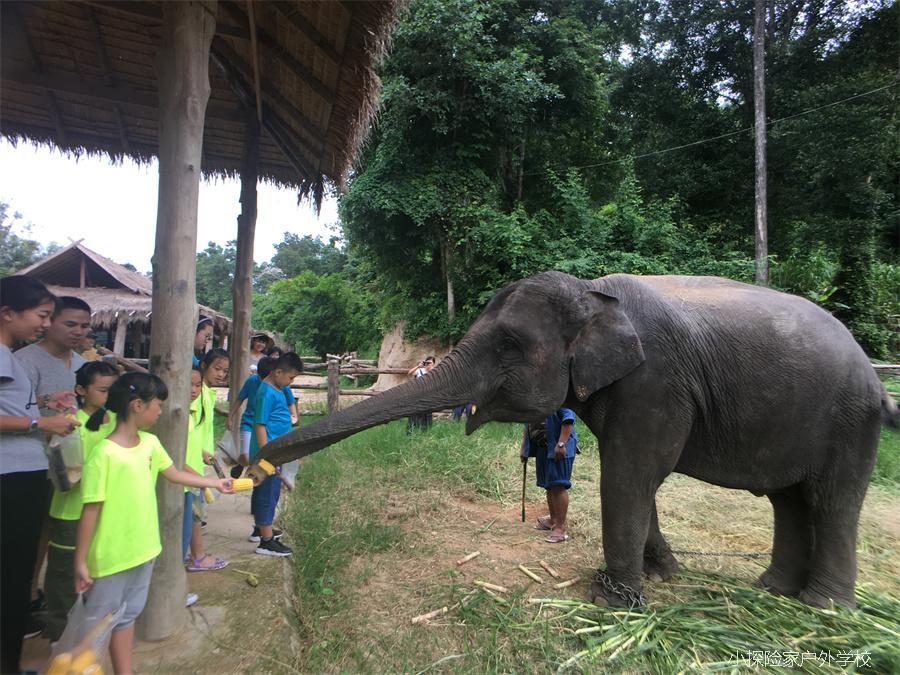 QQ图片20170825170302