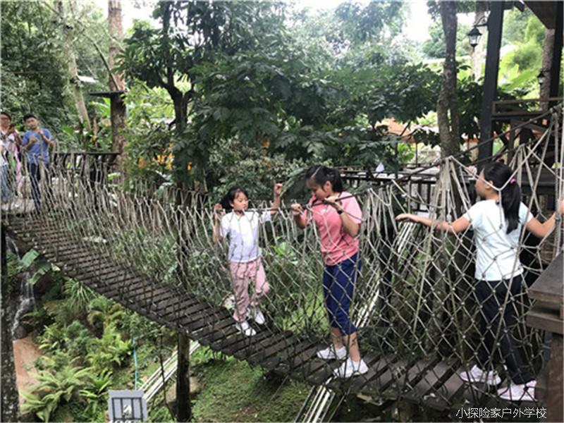 mmexport1531987651941