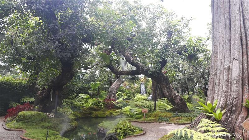 QQ图片20180716173046