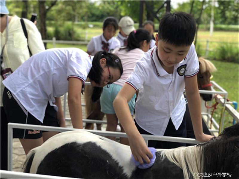 QQ图片20180716173206