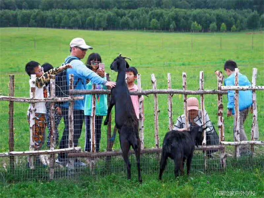 微信图片_20181228144552