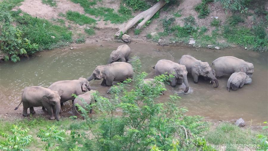 IMG_20200603_192949_1