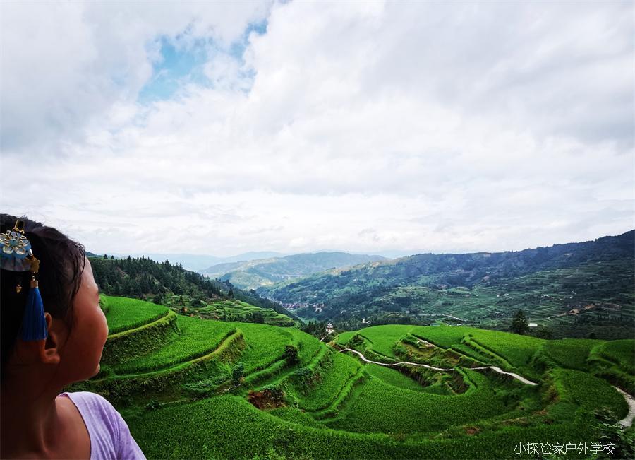 mmexport1597372024865