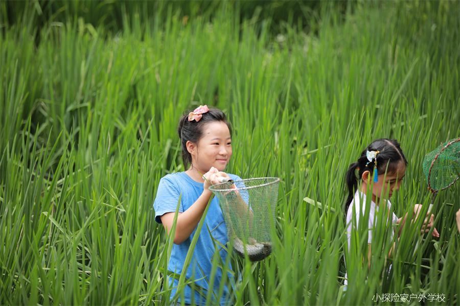 mmexport1597373959464