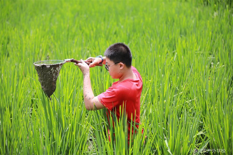 mmexport1597373965504