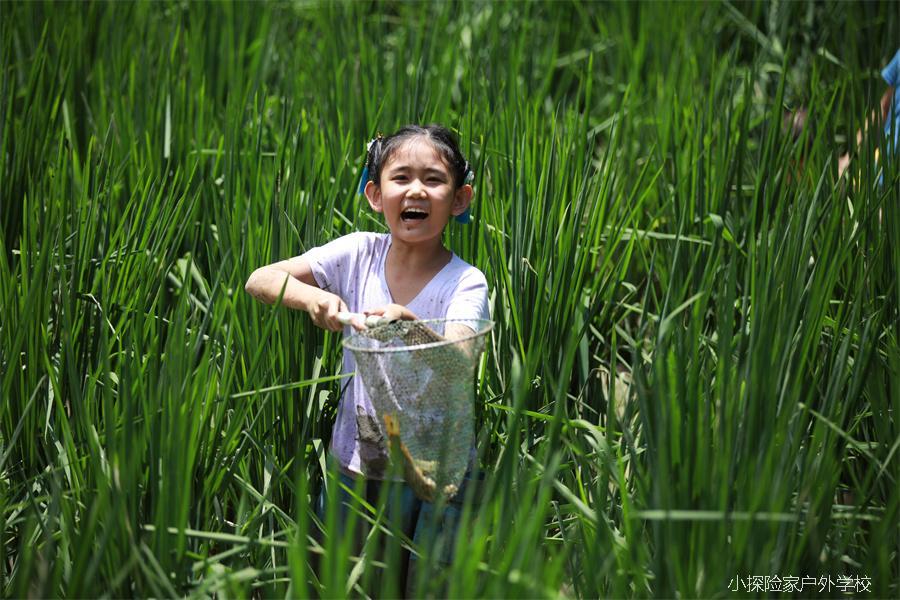 mmexport1597373983519