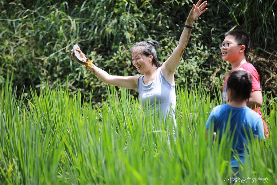 mmexport1597373977474