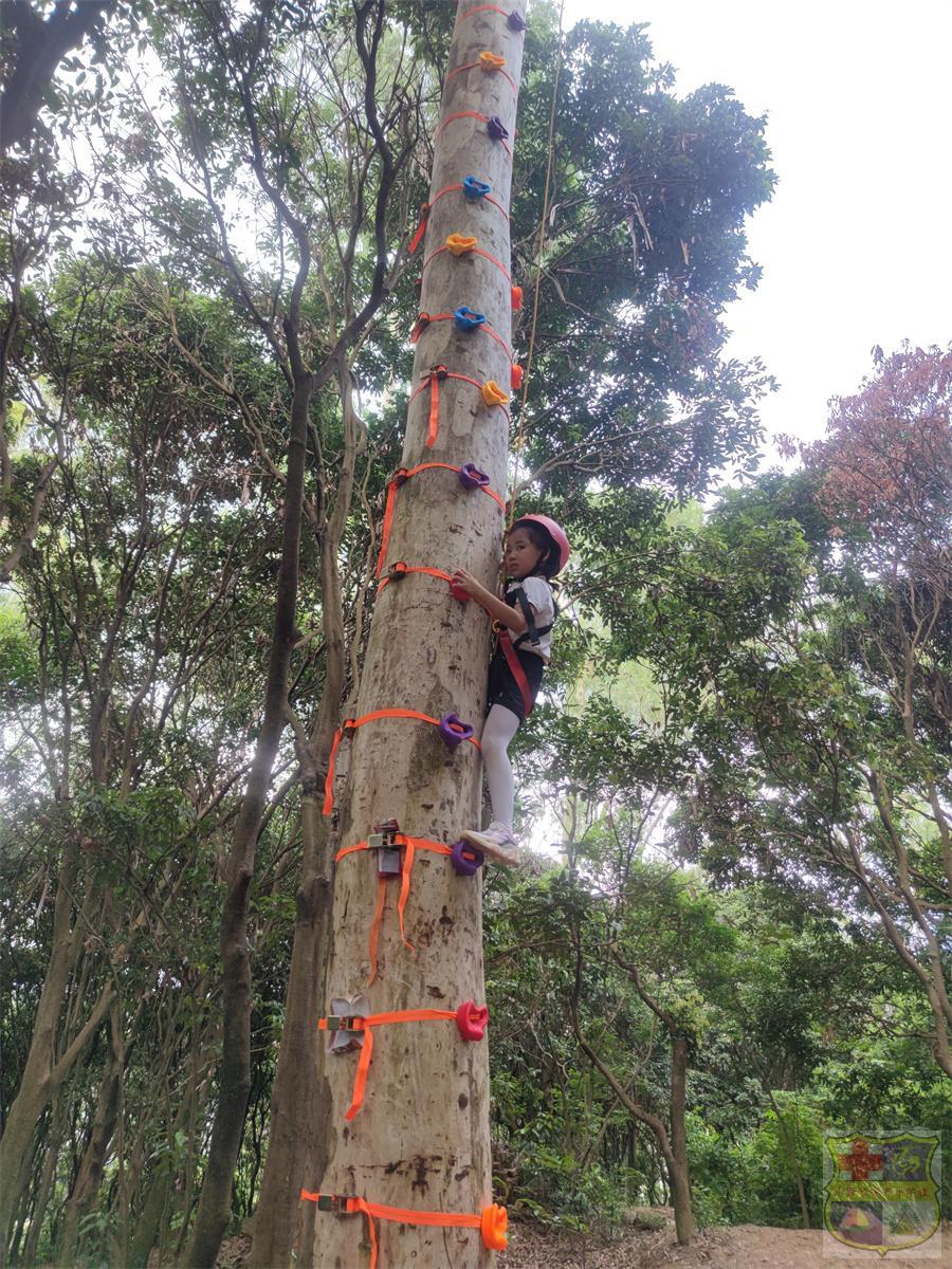 mmexport1630834582289