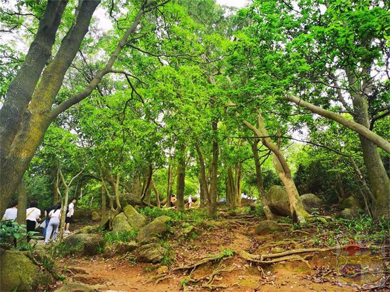 微信图片_20220517153713