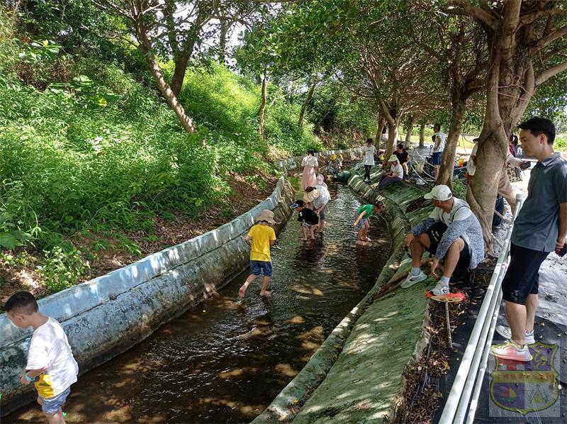 mmexport1657370043249