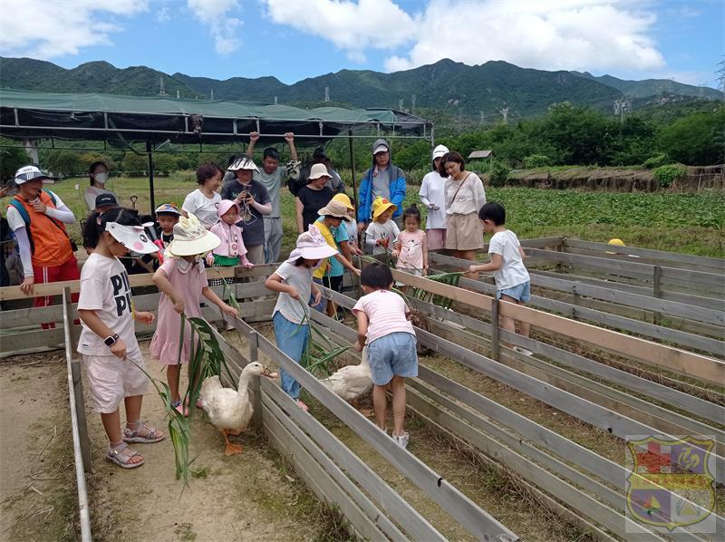 mmexport1657370112791