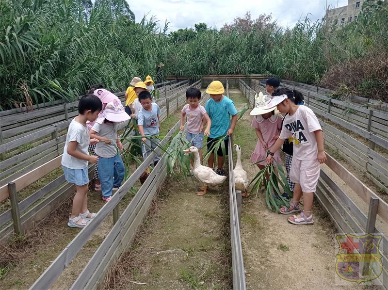 mmexport1657370134262