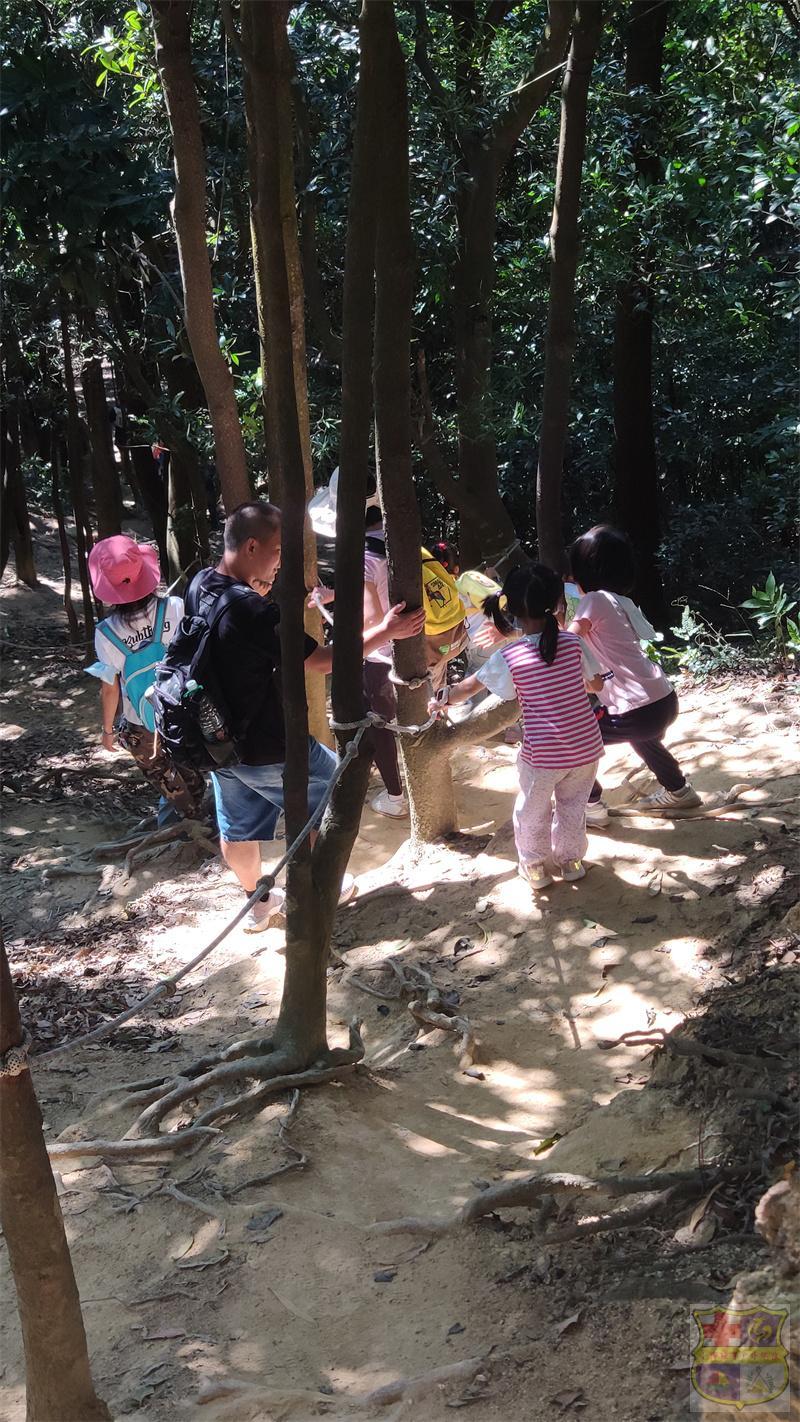 IMG_20221016_140510_1