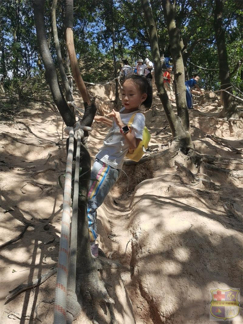 mmexport1665916145595