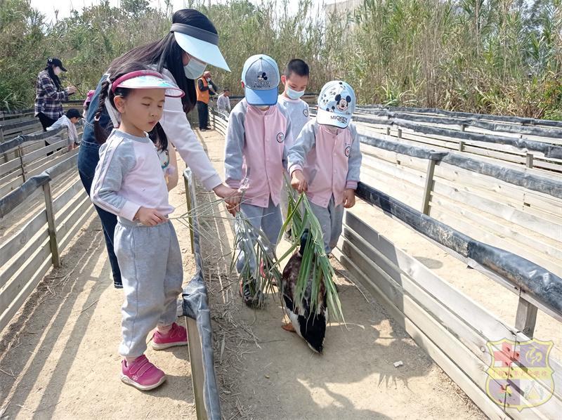 mmexport1678545711769