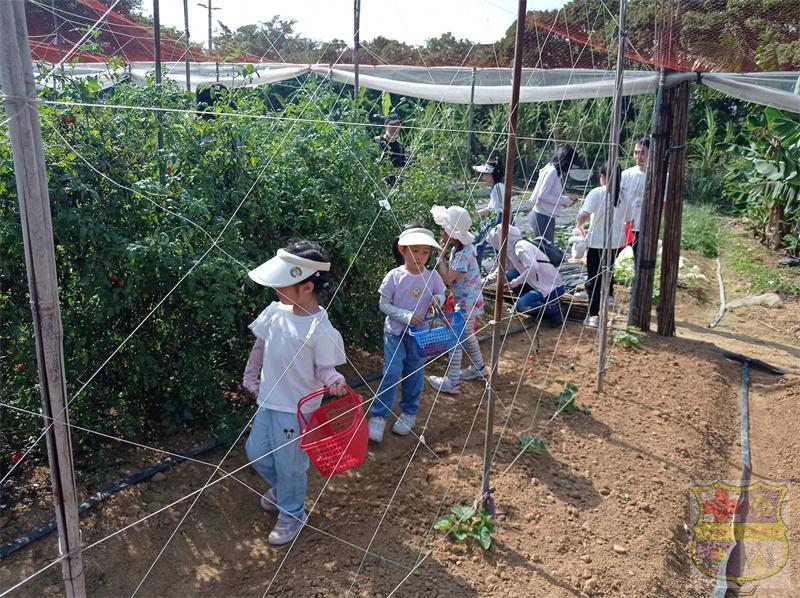 微信图片_20230417094116