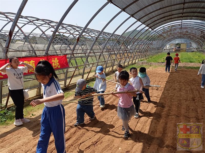 微信图片_20230417094314