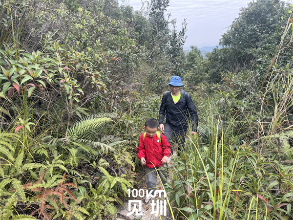 mmexport19598a29a1d5fb2c74102bea899be43d_1701615734341