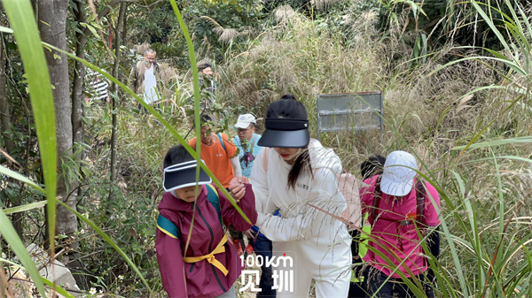 mmexportdc0295b74a0ea5daec6a328d2e225c25_1701615856639