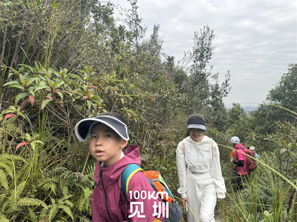 mmexportfd098f4e088f3256404570f1e8920eb0_1701615844349