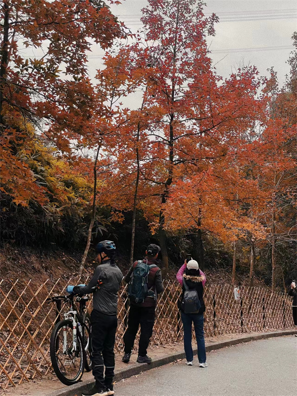 mmexport1703369734263