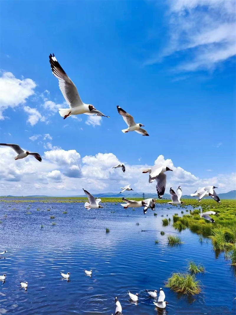 mmexport1716275480944