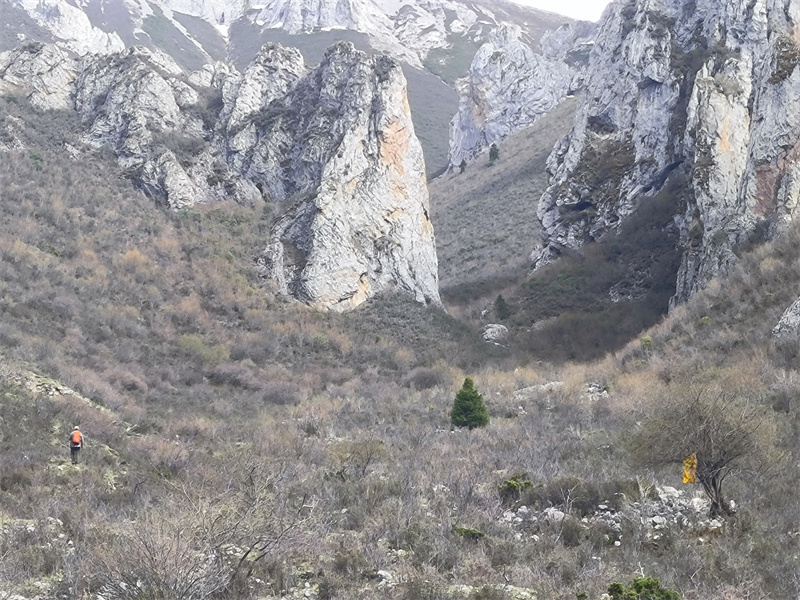 mmexport1716388158383