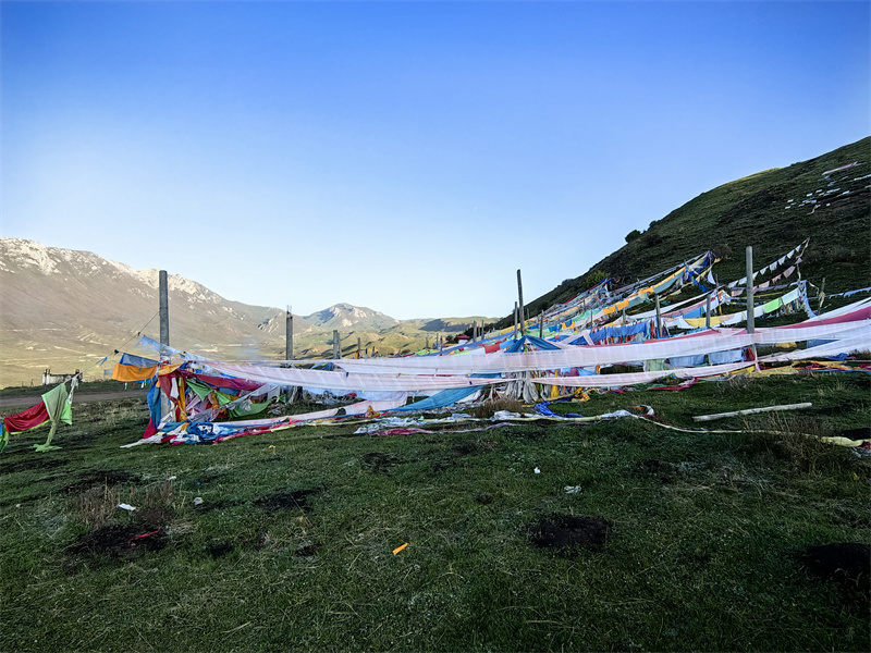 mmexport1716424400121