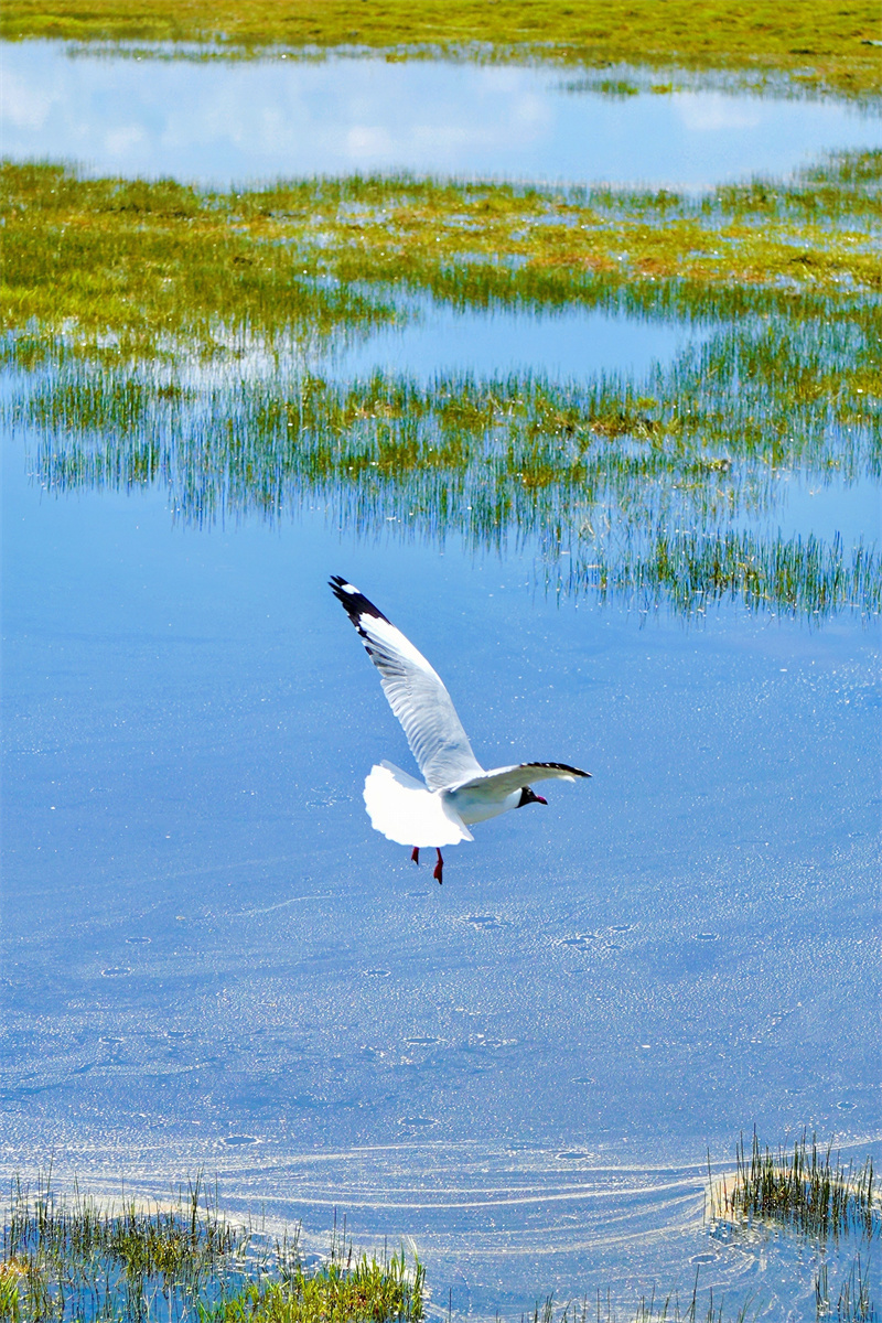 mmexportd8d323c42d7f90c34bbc749bd324ff7c_1716293447032