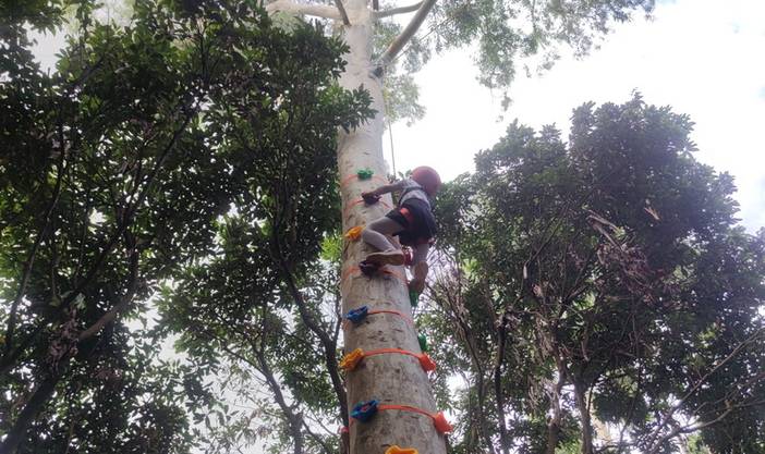 20210905攀树活动