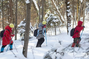 童话小兴安岭哈尔滨进出6天5晚|哈尔滨-铁力-伊春