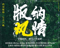 【版纳风情】西双版纳-景迈山-哀牢山-普洱，雨林徒步体验+傣族泼水狂欢+哀牢山云海日出+探访古茶林景迈山7天深度游