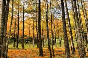 (12月）千八徒步，穿越华东第一徒步路线