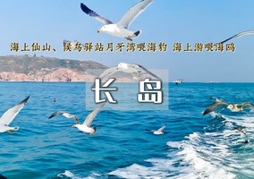 端午3天【成团】长岛•海上仙山长岛の蓬莱-长岛-庙岛-万鸟岛-月亮湾-与海鸥为伴