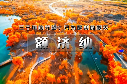 国庆5天|又见•额济纳|为千年胡扬林而来の额济纳-黑城怪树林-居延海-中蒙边境