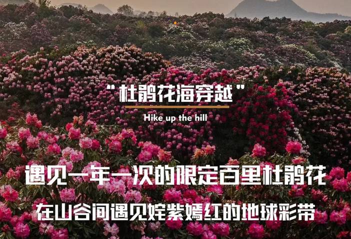 8201a4e70772c97208e38679f38110da-sz_1270039.webp.jpg
