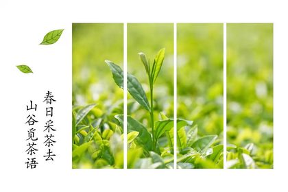 4号火爆增开·【三人行·春游季】万物生长·拥抱春光 | 采春茶·挖春笋·烧土灶·萌宠喂养·扇面绘画！