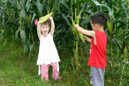 【三人行·仲夏奇“玉”记】一场盛大的乡村派对即将开始.....